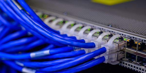 Stock image of Ethernet cables connected to a switch